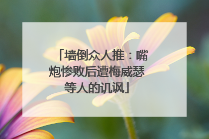 墙倒众人推：嘴炮惨败后遭梅威瑟等人的讥讽