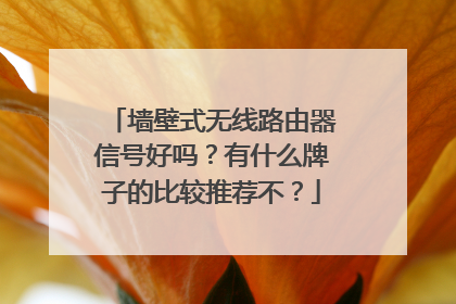 墙壁式无线路由器信号好吗?有什么牌子的比较推荐不?