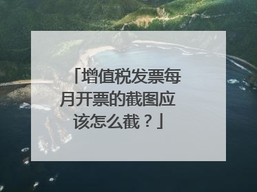 增值税发票每月开票的截图应该怎么截?