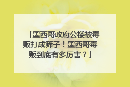 墨西哥政府公楼被毒贩打成筛子！墨西哥毒贩到底有多厉害？
