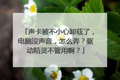 声卡被不小心卸载了,电脑没声音,怎么弄?驱动精灵不管用啊?