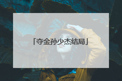 夺金孙少杰结局