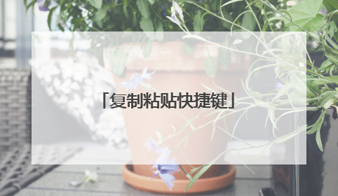 复制粘贴快捷键