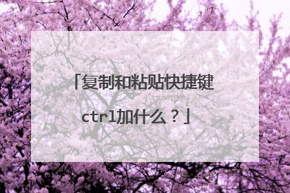 复制和粘贴快捷键ctrl加什么？
