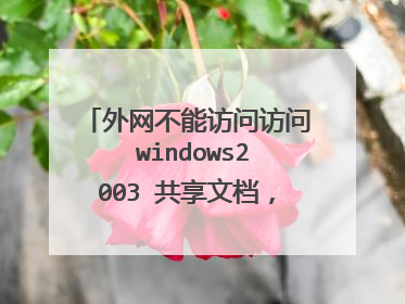 外网不能访问访问 windows2003 共享文档,提示“无任何网络提供程序接受指定的网络路径”