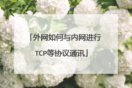 外网如何与内网进行TCP等协议通讯