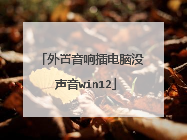 外置音响插电脑没声音win12