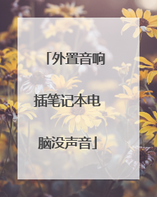 外置音响插笔记本电脑没声音