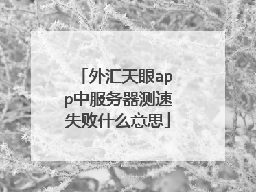 外汇天眼app中服务器测速失败什么意思