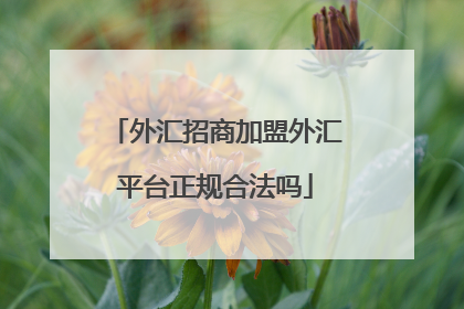 外汇招商加盟外汇平台正规合法吗