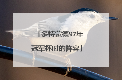 多特蒙德97年冠军杯时的阵容