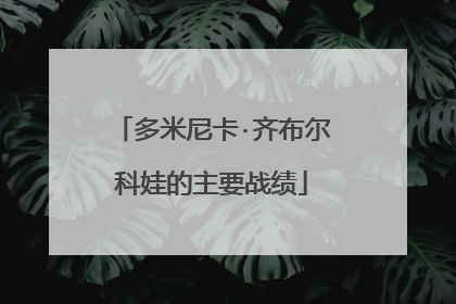 多米尼卡·齐布尔科娃的主要战绩