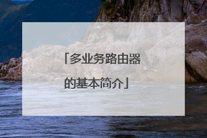 多业务路由器的基本简介
