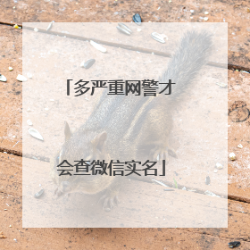 多严重网警才会查微信实名