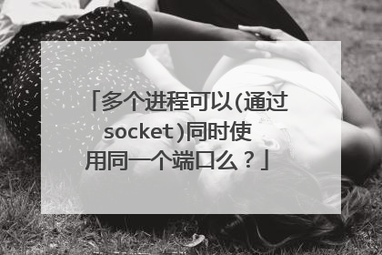 多个进程可以(通过socket)同时使用同一个端口么？