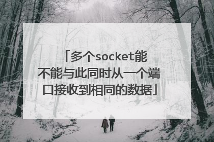 多个socket能不能与此同时从一个端口接收到相同的数据