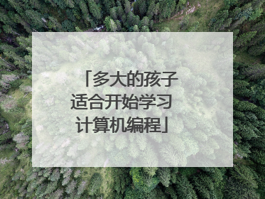 多大的孩子适合开始学习计算机编程