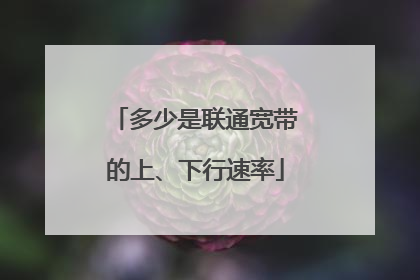 多少是联通宽带的上、下行速率