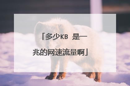 多少KB 是一兆的网速流量啊