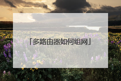 多路由器如何组网