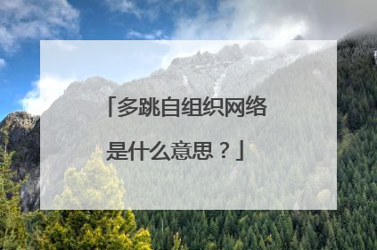 多跳自组织网络是什么意思?