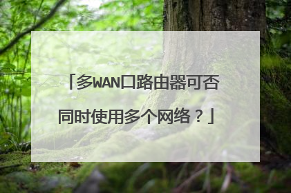多WAN口路由器可否同时使用多个网络?