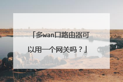 多wan口路由器可以用一个网关吗？