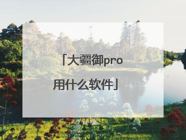 大疆御pro用什么软件