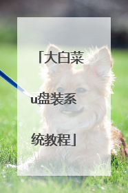 大白菜u盘装系统教程