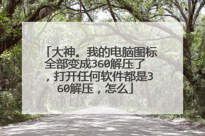 大神。我的电脑图标全部变成360解压了,打开任何软件都是360解压,怎么