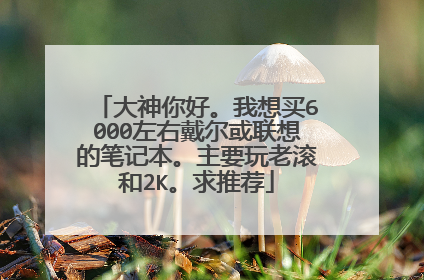 大神你好。我想买6000左右戴尔或联想的笔记本。主要玩老滚和2K。求推荐