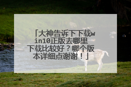 大神告诉下下载win10正版去哪里下载比较好?哪个版本详细点谢谢!