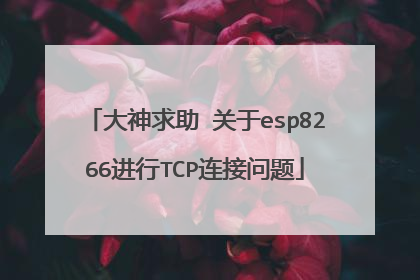 大神求助 关于esp8266进行TCP连接问题