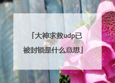 大神求救udp已被封锁是什么意思