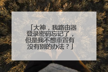 大神,我路由器登录密码忘记了,但是我不想重置有没有别的办法?