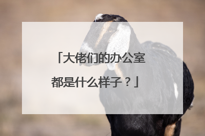 大佬们的办公室都是什么样子?