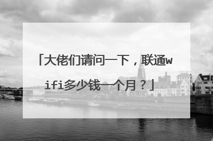 大佬们请问一下，联通wifi多少钱一个月？