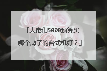 大佬们5000预算买哪个牌子的台式机好?