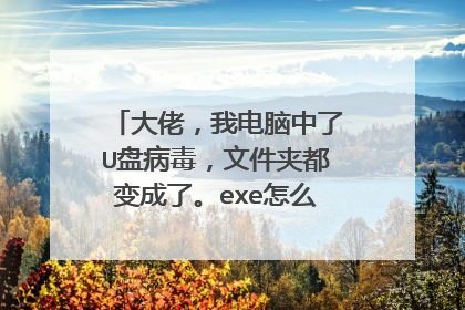 大佬，我电脑中了U盘病毒，文件夹都变成了。exe怎么彻底解决电脑跟u盘里的毒，谢谢？