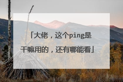 大佬,这个ping是干嘛用的,还有哪能看