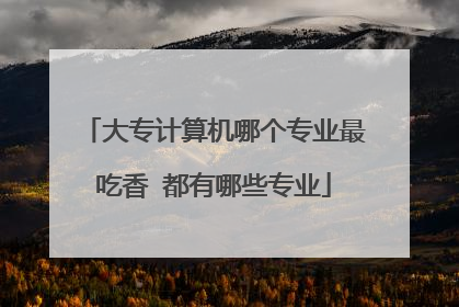 大专计算机哪个专业最吃香 都有哪些专业