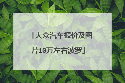 大众汽车报价及图片10万左右波罗