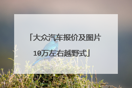大众汽车报价及图片10万左右越野式