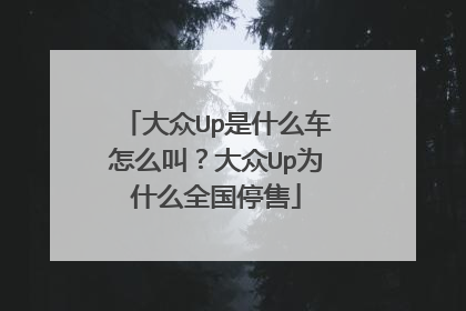 大众Up是什么车怎么叫？大众Up为什么全国停售