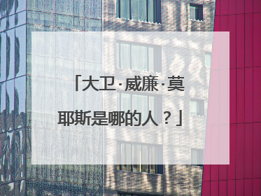 大卫·威廉·莫耶斯是哪的人？