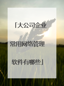 大公司企业常用网络管理软件有哪些