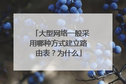 大型网络一般采用哪种方式建立路由表?为什么