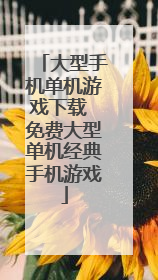 大型手机单机游戏下载 免费大型单机经典手机游戏