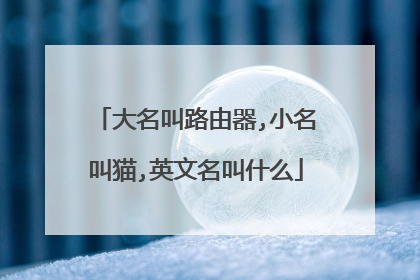 大名叫路由器,小名叫猫,英文名叫什么