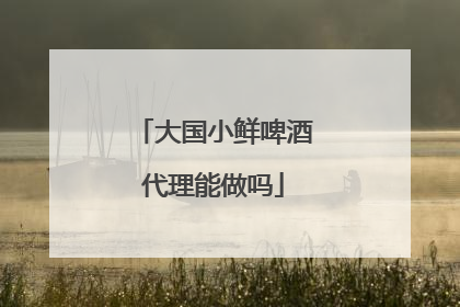 大国小鲜啤酒代理能做吗